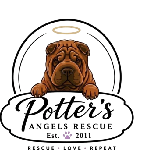 Potter's Angels Rescue